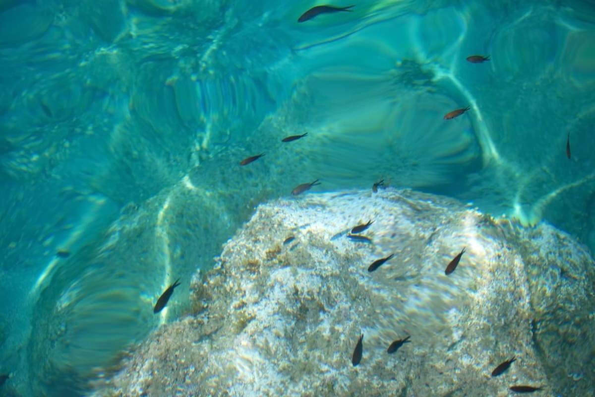 Seaview Luxury Villa Jacuzzi & Pool! 2 Min Beach Protarász Kültér fotó